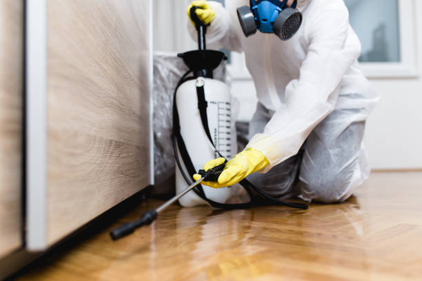 Best Cockroach Control Services  in Mianna, AR