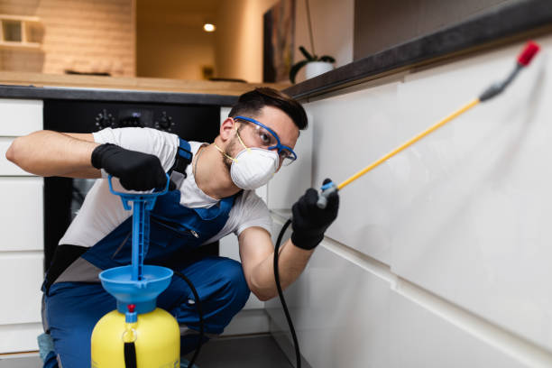 Best Affordable Pest Control Services  in Mianna, AR