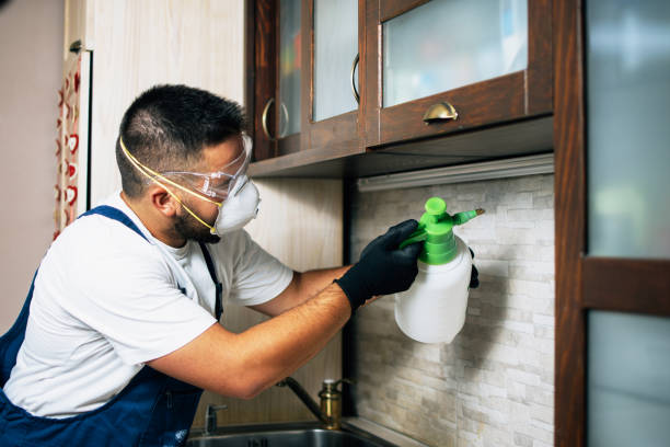 Best Best Pest Control Companies  in Mianna, AR