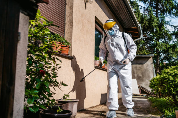 Best Local Pest Control Services  in Mianna, AR