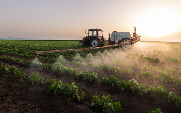 Best Pest Prevention Services  in Mianna, AR