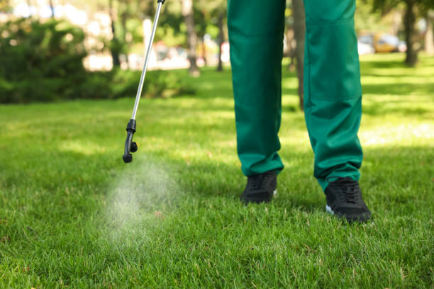 Best Cockroach Control Services  in Mianna, AR