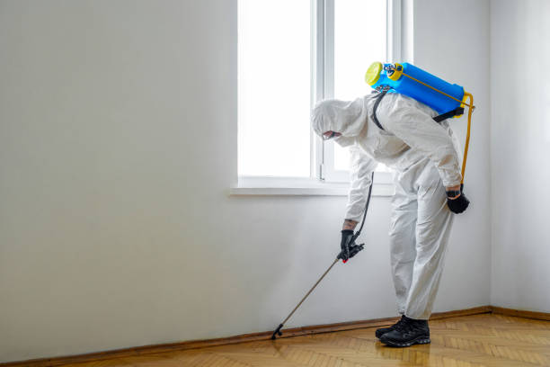Best Bed Bug Extermination  in Mianna, AR