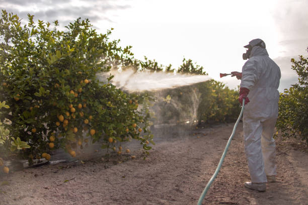 Best Pest Prevention Services  in Mianna, AR