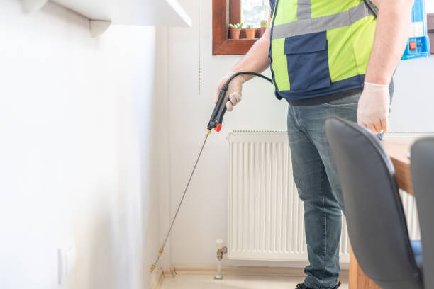 Best Termite Control Services  in Mianna, AR