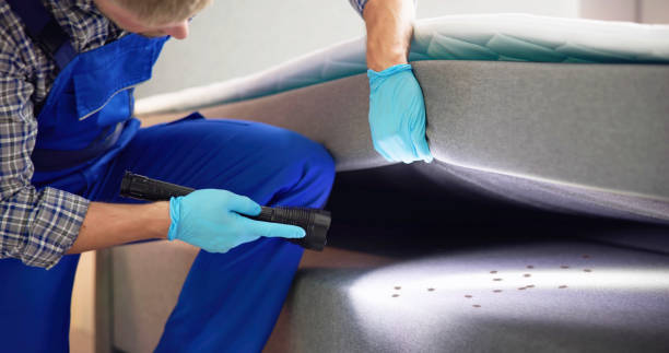 Best Flea Control Services  in Mianna, AR