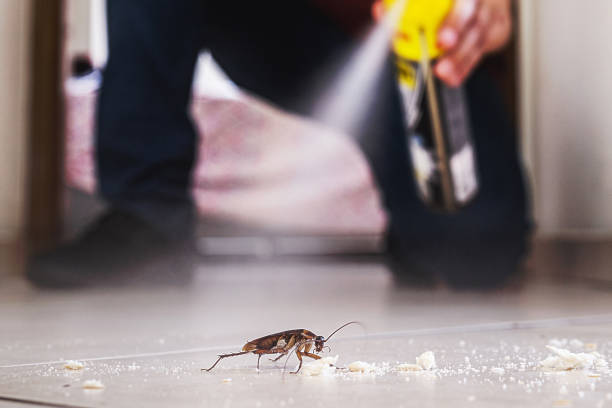Best Exterminator Services  in Mianna, AR