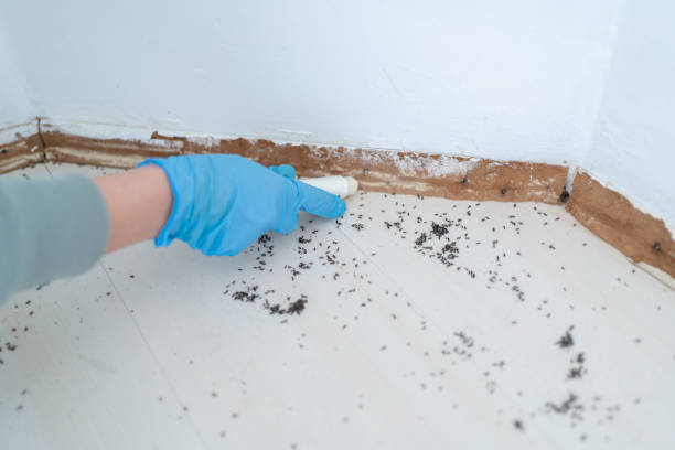 Best Residential Pest Control  in Mianna, AR