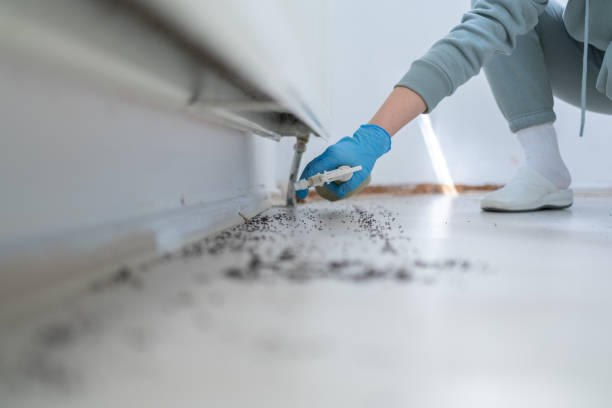 Best Pest Removal Services  in Mianna, AR