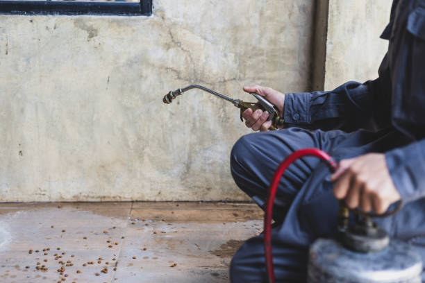 Best Mosquito Control Services  in Mianna, AR